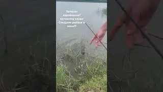 Активатор клева! Карпфишинг! Мужики в шоке! Рыбалка на Кубани!