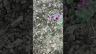 Ура! Весна!