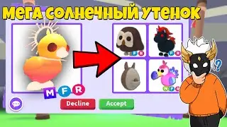 ЧТО ДАЮТ ЗА МЕГА СОЛНЕЧНОГО УТЕНКА в Adopt Me🌞🦆┃ROBLOX ADOPT ME
