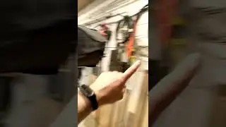 Шо там Сайченко