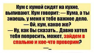 Кум с кумой сидят на кухне, выпивают. Кум говорит: Смешные анекдоты