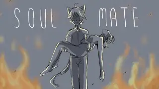 Soulmate [Miraculous Ladybug Animatic] (Part 3/3)