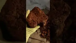 Чага . Видеоответ.