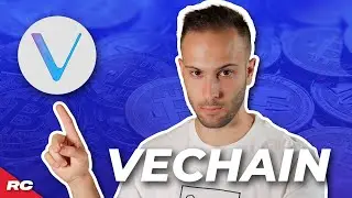 I Found It...This Is The Crypto To Invest In 100x??? | VeChain Explained | VET Explained