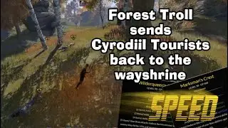 Forest Troll forces AD to reschedule funeral in order to consolidate | ESO Super cute BowGank Bandit