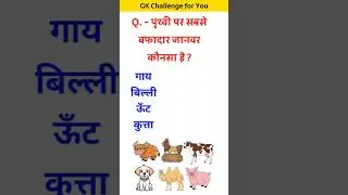 धरति पर सबसे वफादार जानवर कोनसा है | #youtubeshorts #gk #gkinhindi #gkquiz #gkquestion #india