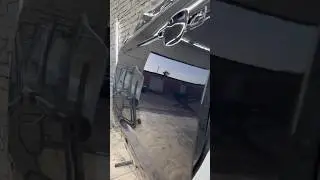 Китайский лачек🧐