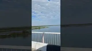РЫБАЛКА НА РЕКЕ Или Кунаевский мост протока #fishing #рыбалка #carpfishing #природа