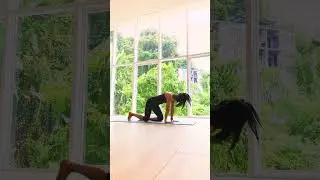 A Yoga Flow with Bamboo 🧡 #YogaPractice