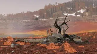 🔴 DayZ ! Выживаю в одиночку на ОФИЦИАЛКЕ ! Стрим DAYZ #dayz #дейз