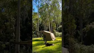 #campingwithdogs