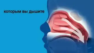 Конхотомия/Вазотомия нижних носовых раковин/