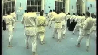 БУДО. Айкидо и Карате. Часть 31.