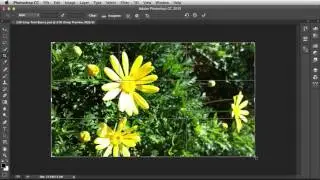 Adobe Photoshop 