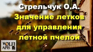 #Стрельчук