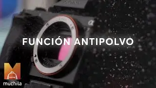 Función Antipolvo en cámaras sin espejo