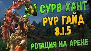 Ротация на арене для СУРВ ханта в World of Warcraft БФА