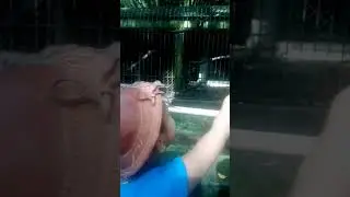 15 de julho de 2023