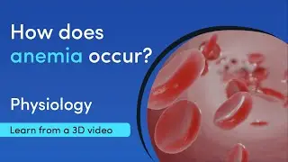 What is anemia? | MediMagic | Learn with 3D videos