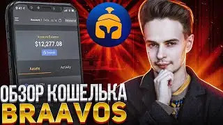 ПОЛНЫЙ ОБЗОР КОШЕЛЬКА BRAAVOS. КАК ПОПОЛНИТЬ КОШЕЛЕК BRAAVOS. STARKNET