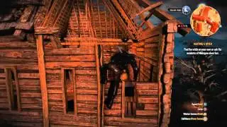 The Witcher 3: Barons Castle Hidden Area Goodies