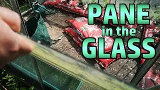 Random Stuff - Happiness, Scary Door, Fake Meccano, Garden, Greenhouse, Insect Friends, Mudlarking
