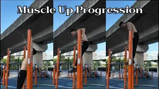 Muscle Up Progression - Tutorial