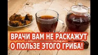Врачам это не выгодно!  ЧАГА лечит почти все болезни! И растет в каждом лесу!