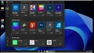 Windows 11 Troubleshooting WinStore in LiteOS