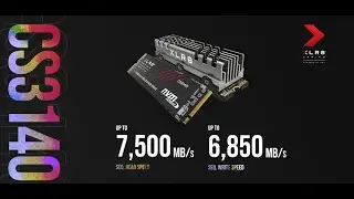 CS3140 M.2 NVMe SSD by PNY