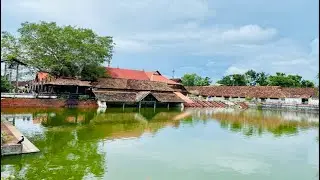Sree Krishna Swamy Temple|| Ambalappuzha Temple|| Feeding Tons of fishes