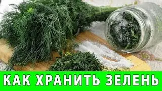 КАК ХРАНИТЬ ЗЕЛЕНЬ ПРАВИЛЬНО