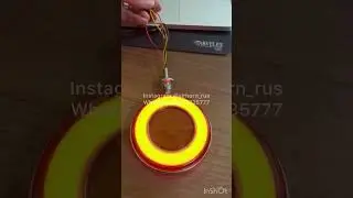 Фонари под зеркала с повторителем поворотника (серьги, леденцы) Для грузовиков и автобусов 24В