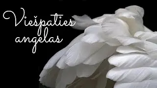 Viešpaties angelas apreiškė Marijai