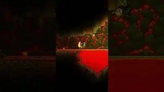 Terraria 1.4.4 Fart kart is OP! 