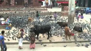 Катманду. Дворцовая площадь (Durbar square)