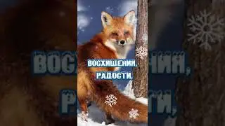 2 декабря 2023 г.