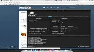 How to get Tumblr followers