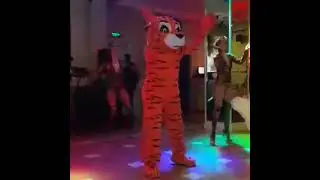 Tyger show dance