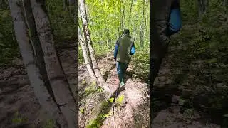грибной блогер попался в лесу 