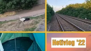 Madárkórház, sátrazás... - hetivlog '22