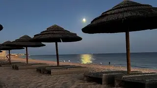Portugal 🇵🇹 travel vlog