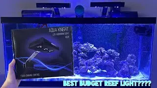 BEST Budget REEF light for your SALTWATER AQUARIUM?! Hipargero Aquaknights REVIEW!