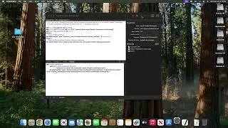 Install Disable Gatekeeper