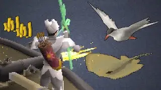 Found the Best Early Sailing Training Method