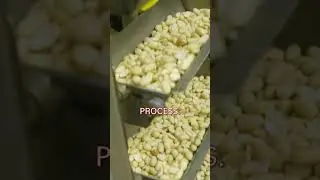 How millions of peanuts are produced per year 