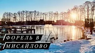 Открытие Сезона Спиннинга  |  Ловим Форель со Льда | Рыбалка в Мисайлово