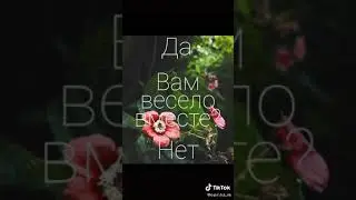 Опрос про соседа по парте