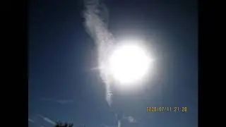 Recent FAA Cam  Videos + Amazing Pic Captures 7-20-20!