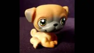 My New Retired LPS